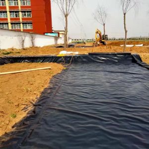 長興牌土工膜完工現(xiàn)場